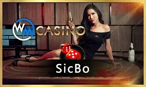 Casino Games at Roobet Sweden